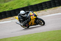 enduro-digital-images;event-digital-images;eventdigitalimages;lydden-hill;lydden-no-limits-trackday;lydden-photographs;lydden-trackday-photographs;no-limits-trackdays;peter-wileman-photography;racing-digital-images;trackday-digital-images;trackday-photos